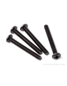 VIS TETE RONDE M3X25MM S6 2