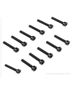 VIS BTR M3X16MM (12) 2