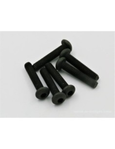 VIS BTR TTE RONDE M3X16MM (6) 2