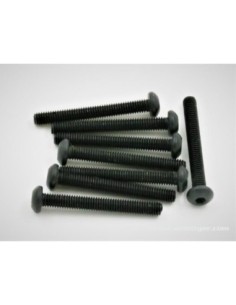 VIS BTR TTE RONDE M3X25MM (4) 2