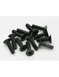 VIS TP TTE FRAISEE 3X10MM (12) 2