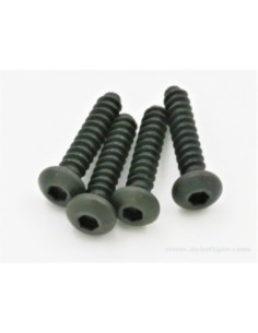 VIS TP TTE RONDE 3X14MM (4) 2