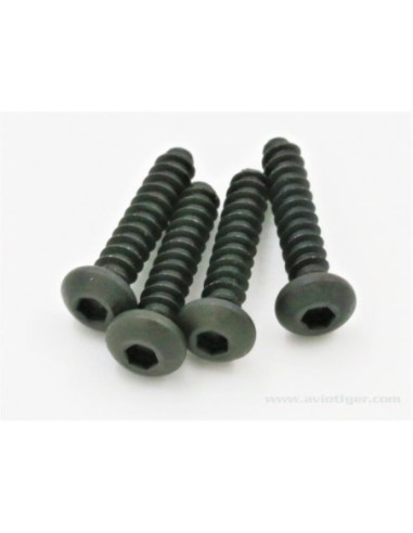 VIS TP TTE RONDE 3X14MM (4)