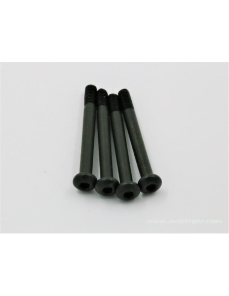 VIS TRIANGLE M3X30MM (4)