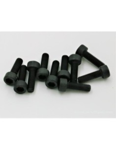 VIS BTR M3X10MM (10) 2