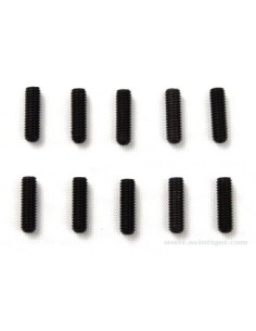 SET VIS M3X10MM S10 2