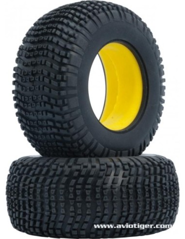 PNEUS + INSERT BLAST SC