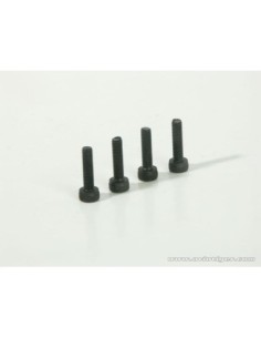 VIS TETE DE CULASSE M2.6X12 (S4) 2