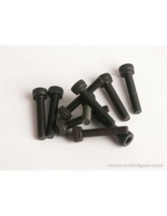 VIS BTR 3X16MM (S10) 2