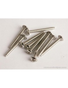 VIS TOLE TETE LARGE 3X20MM (S10) 2