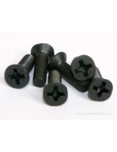 SET DE VIS 3X10MM S6