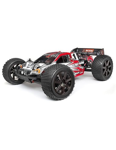 CARROSSERIE PEINTE TROPHY TRUGGY