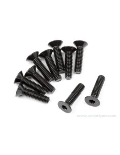 VIS PLATE M2.5X10MM S10 2