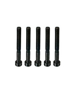 BTR SCREW M4X43 (S5)