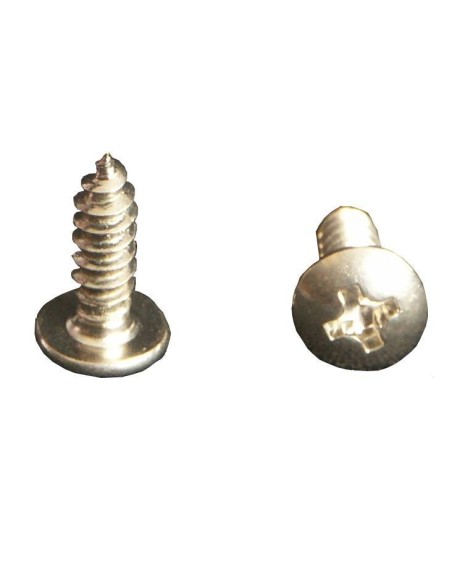 VIS TOLE TETE LARGE 3X10MM S10