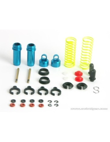JEU SUSPENSION AVT BUGGY 1/18