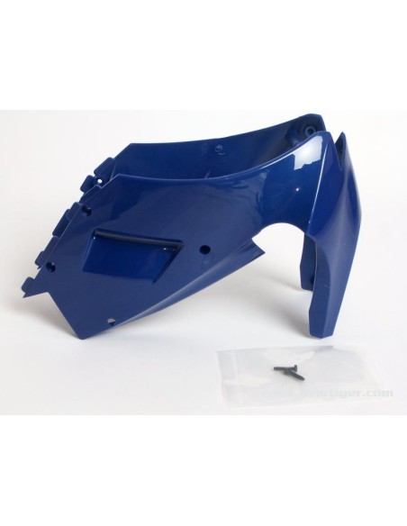 CARENAGE AVT BLEU M5 RACE