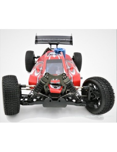 BULL SPORT 1/8 NITRO