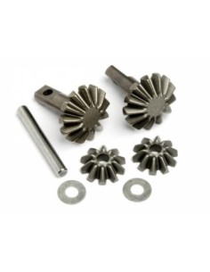 PIGNONS PLANET/SAT 13/10DTS 2