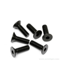 VIS TETE PL. 6 PANS 5X16MM S6 2