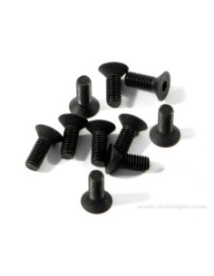 VIS HEX TETE PLATE M3X8MM (S10) 2