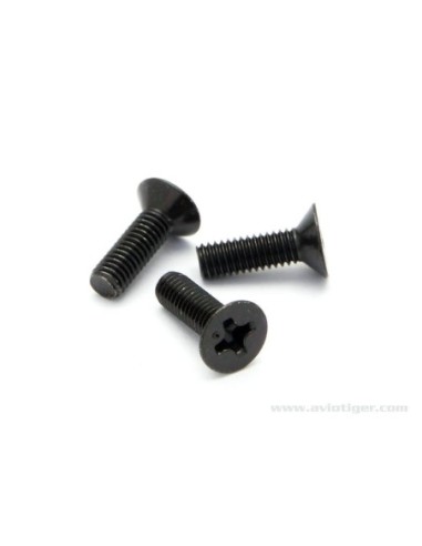 VIS TETE FRAISEE M3X10MM (S6)
