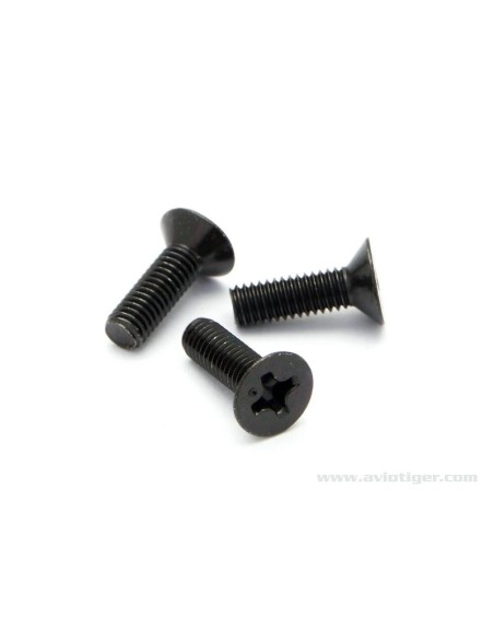VIS TETE FRAISEE M3X10MM (S6)