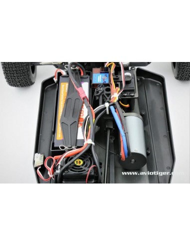 BULL SPORT EP 1/8 BRUSHLESS