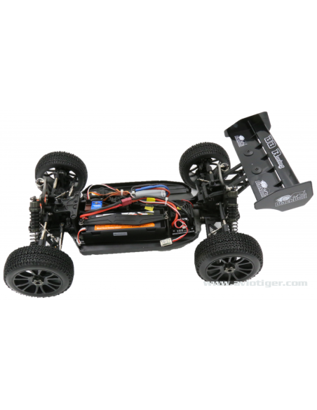 BULL SPORT EP 1/8 BRUSHLESS