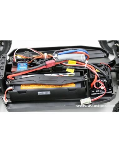BULL SPORT EP 1/8 BRUSHLESS