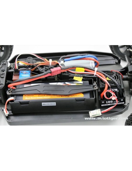 BULL SPORT EP 1/8 BRUSHLESS