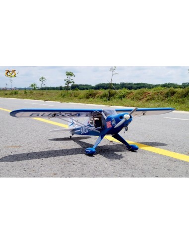 Avion VQ Model Super Cub 46 size EP/GP Burda version 
