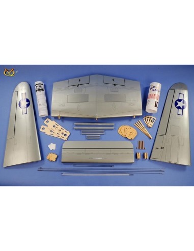 Avion VQ Model P-38 twin 2.1m version verte 
