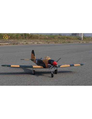 Avion VQ Model P-39 Airacobra 1.58m sumer camo 