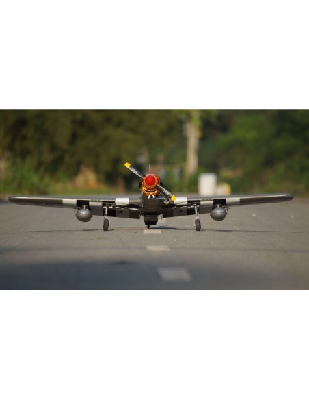 Avion VQ Model P-51B (Berlin Express ) 
