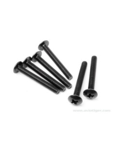 VIS TETE RONDE M3X14 S6