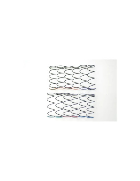 Serpent I ressort set RR V2 (6x2)  (SER600659) 