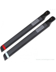 PALES PRINCIPALES MASTER