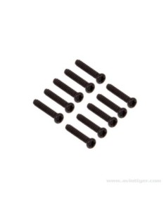 VIS TP TTE RONDE 2X10MM (10)