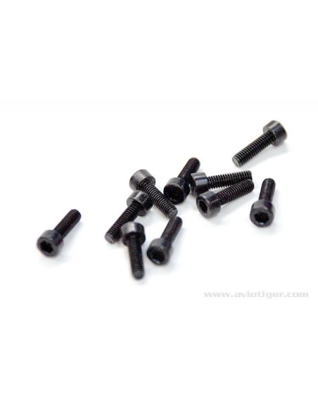 VIS BTR M3X10MM (10)