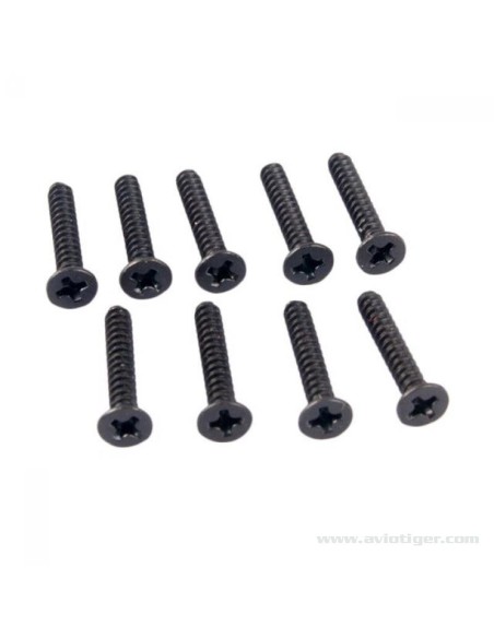 VIS TP TTE RONDE 3X16MM (10)