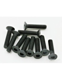 VIS TTE FRAISE M3X14MM (10)