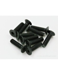 VIS TTE FRAISE M3X12MM (10)