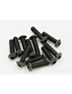 VIS BTR TTE RONDE M3X12MM (12)