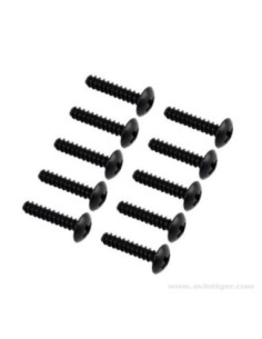 VIS TP TTE RONDE 3X14MM (10)