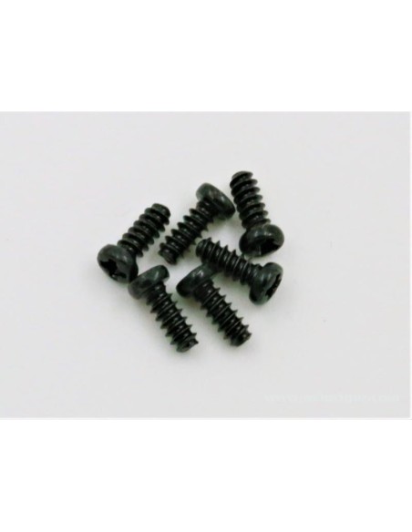 VIS TP TTE RONDE 2X5MM (6)