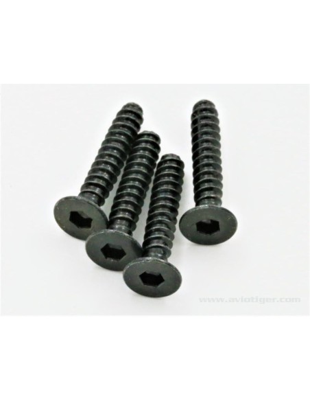 VIS TTE FRAISE M3X16MM (4)