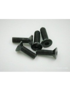 VIS TTE FRAISE M3X10MM (4)