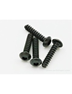 VIS TP TTE RONDE 3X14MM (4)