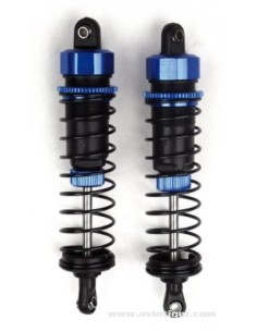 AMORTISSEUR ARR S2 S10BX